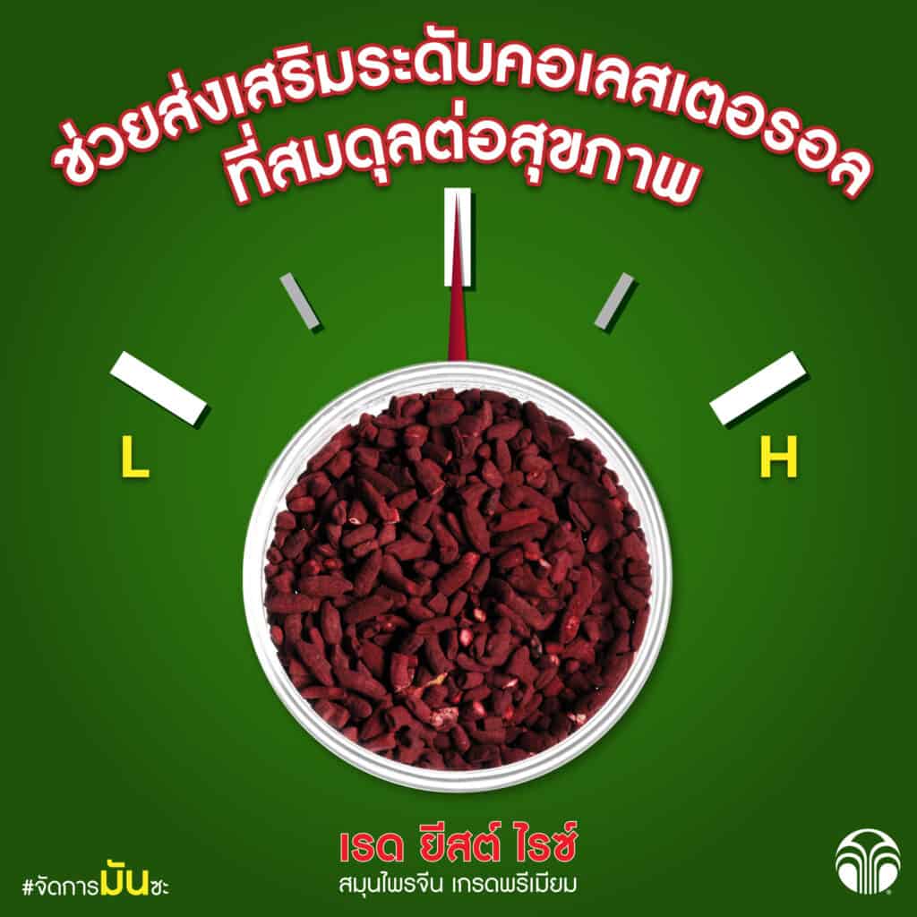 ประโยชน์ของข้าวยีสต์แดง Nu Skin ประโยชน์ของข้าวยีสต์แดง Nu Skin